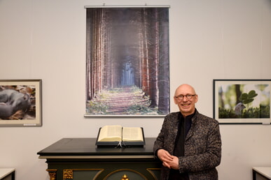 Der Wald zeigt seine Symphonie