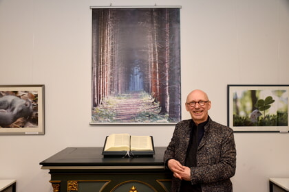 Der Wald zeigt seine Symphonie